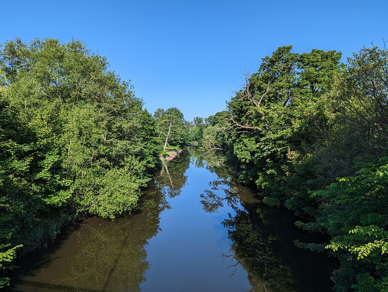 Rönne å med grönska i Ängelholm.